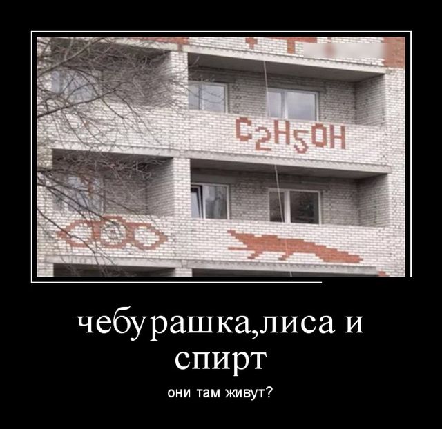 Демотиваторы