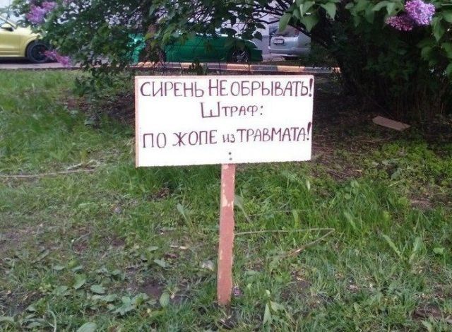 Странные запреты, которые сложно объяснить