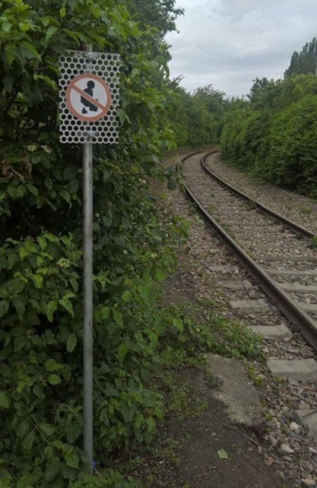 Странные запреты, которые сложно объяснить