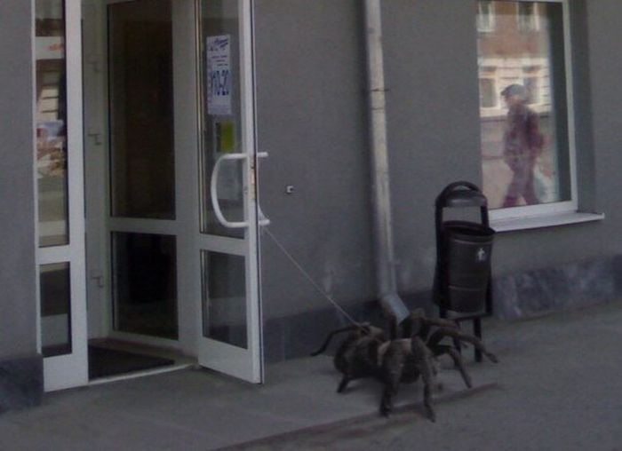 Прикольные картинки