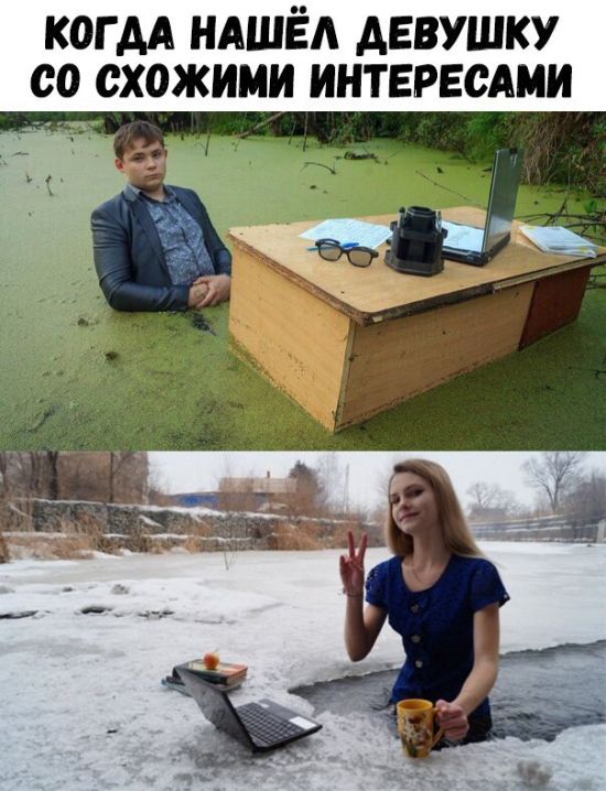 Прикольные картинки