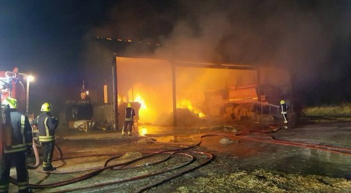 Благодарная хозяйка пожарила сосиски из поросят, спасенных от огня, и угостила ими пожарных