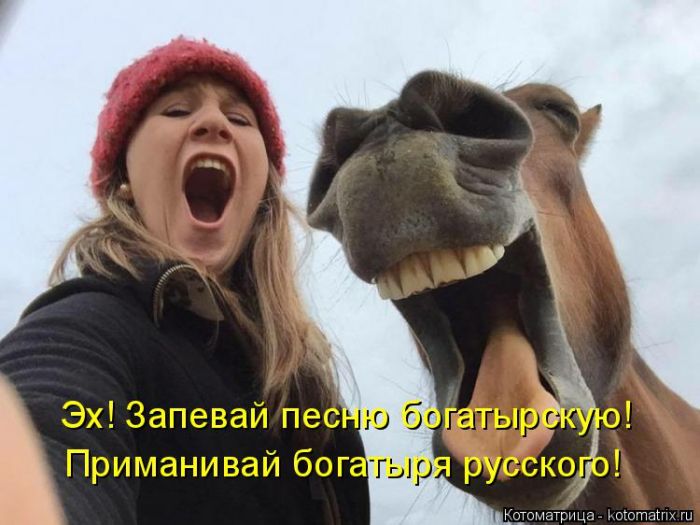 Лучшие котоматрицы недели