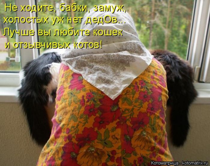 Лучшие котоматрицы недели