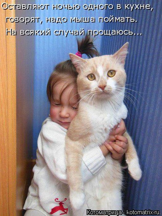 Лучшие котоматрицы недели