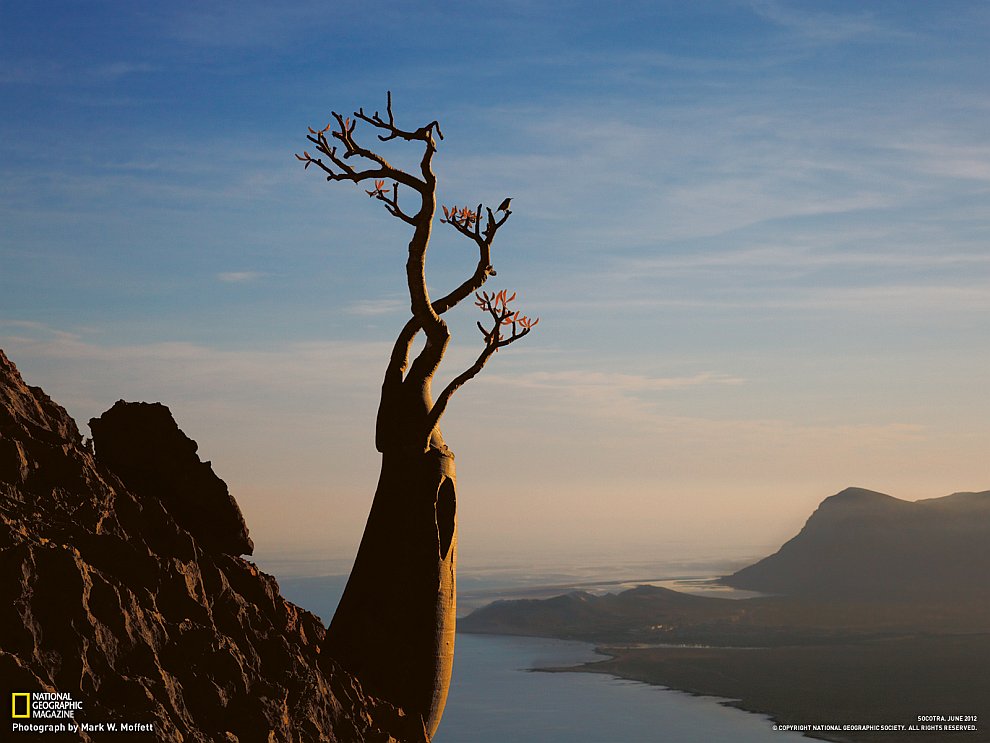 National Geographic: лучшие фотографии сентября National Geographic: лучшие фотографии сентября