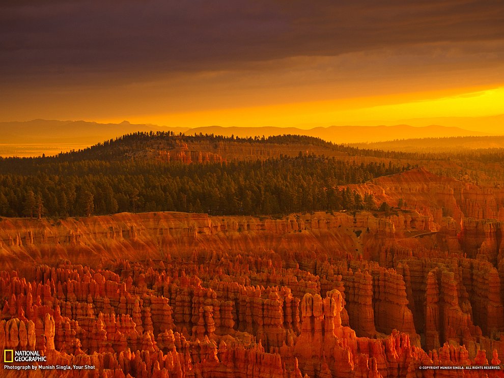 National Geographic: лучшие фотографии сентября National Geographic: лучшие фотографии сентября