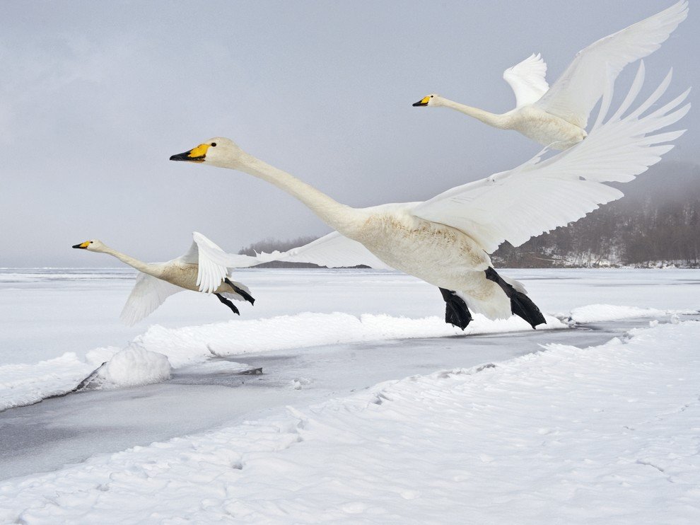 National Geographic: лучшие фотографии сентября National Geographic: лучшие фотографии сентября