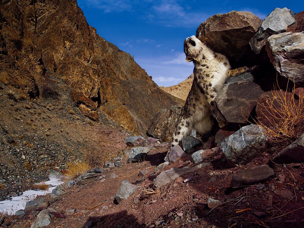 National Geographic: лучшие фотографии сентября National Geographic: лучшие фотографии сентября