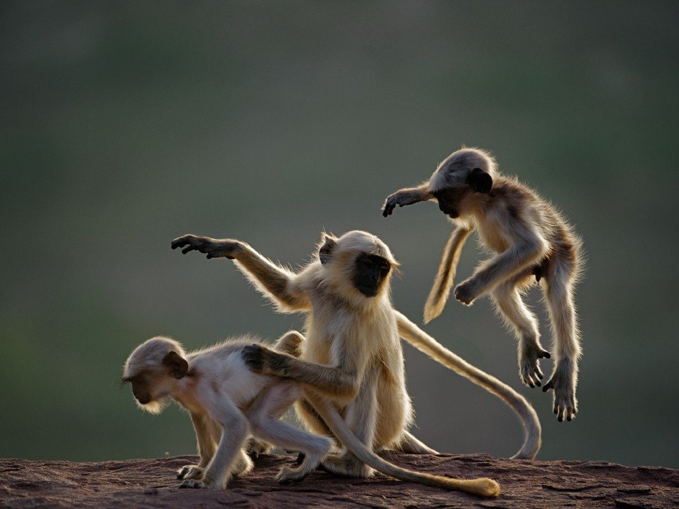 National Geographic: лучшие фотографии сентября National Geographic: лучшие фотографии сентября