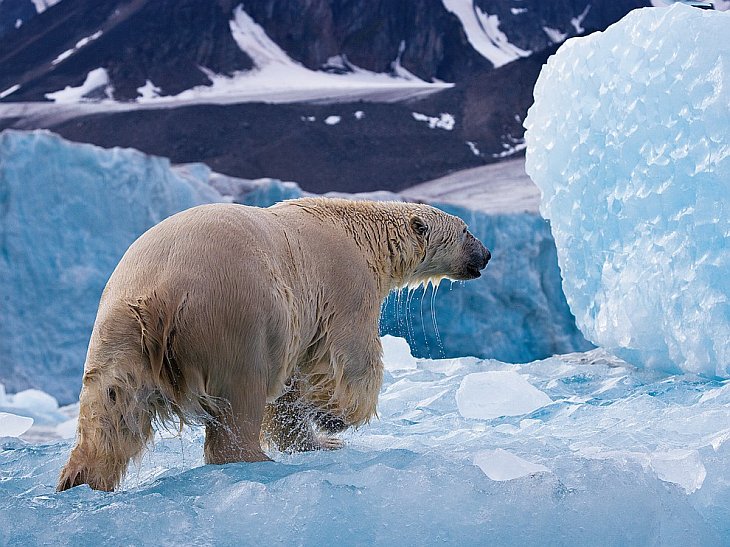 National Geographic: лучшие фотографии сентября National Geographic: лучшие фотографии сентября