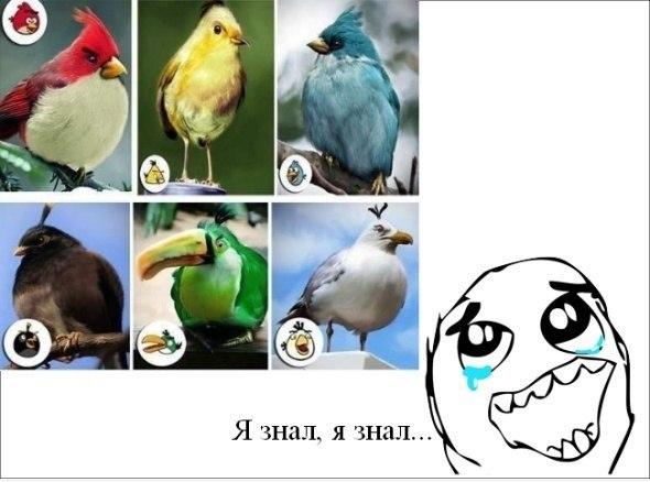 Веселые комиксы (30 фото)