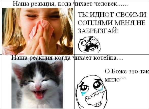 Веселые комиксы (30 фото)