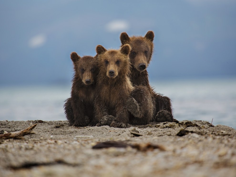National Geographic: лучшие фотографии сентября