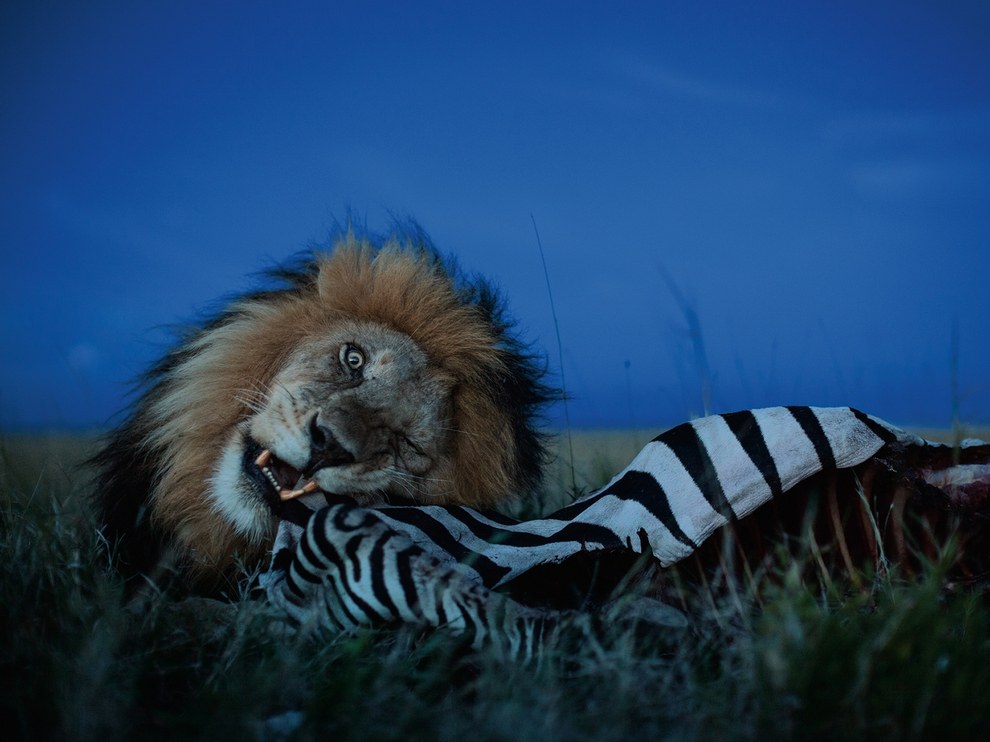 National Geographic: лучшие фотографии сентября