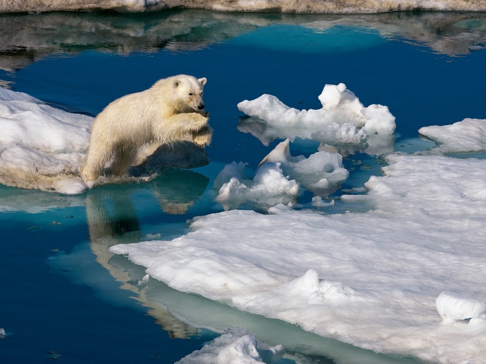 National Geographic: лучшие фотографии сентября