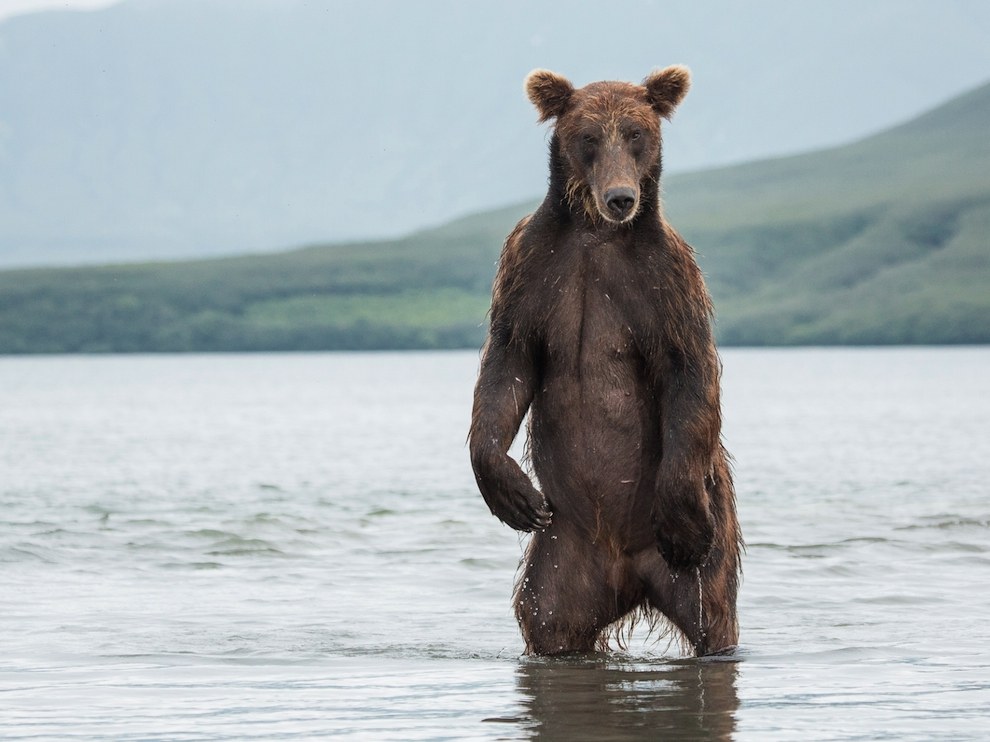 National Geographic: лучшие фотографии сентября