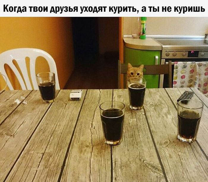 Порция картинок