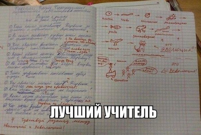 Порция картинок