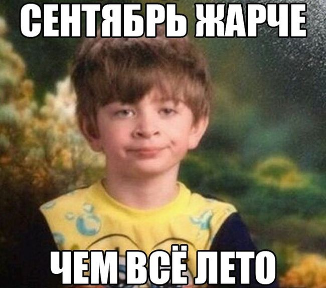 Порция картинок