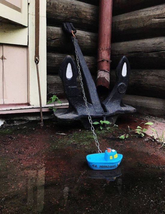 Прикольные картинки