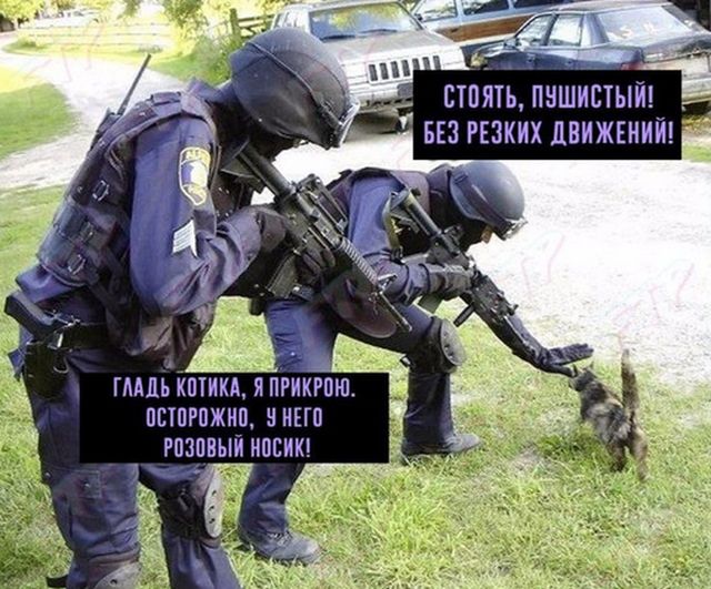 Прикольные картинки