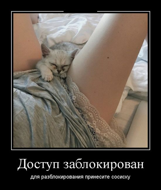 Демотиваторы