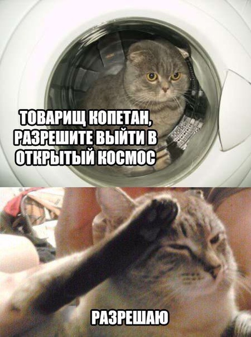 Прикольные картинки