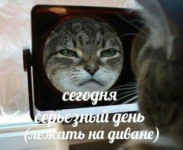 Прикольные картинки