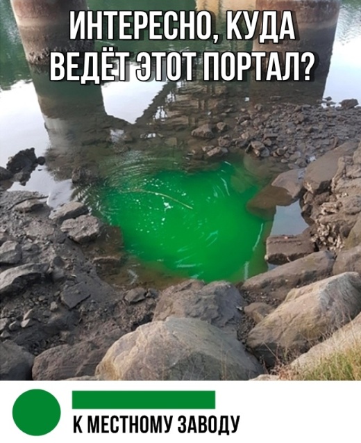 Прикольные картинки