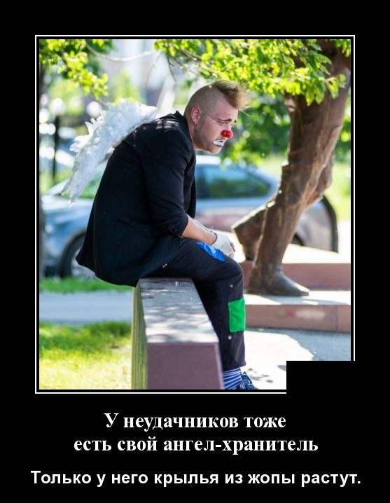 Демотиваторы