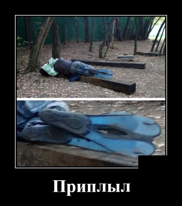 Демотиваторы