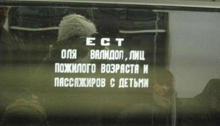 Прикольные картинки