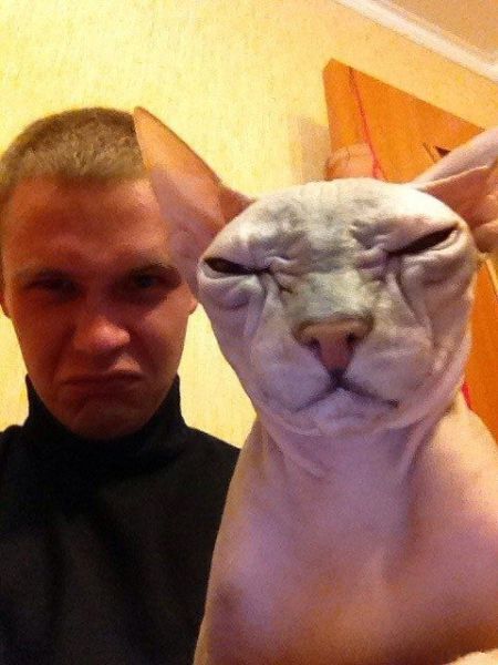 Прикольные картинки