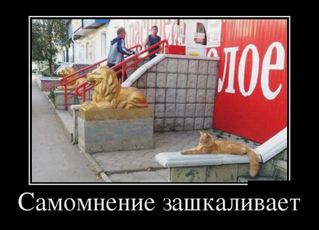 Демотиваторы