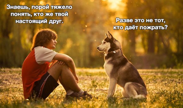 Прикольные картинки