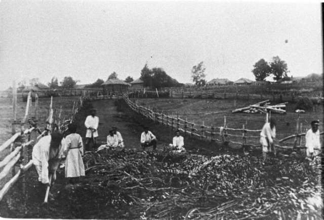 Интересные архивные фотографии Интересные архивные фотографии