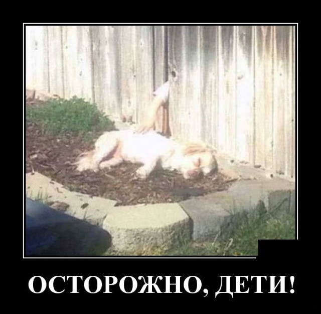 Демотиваторы