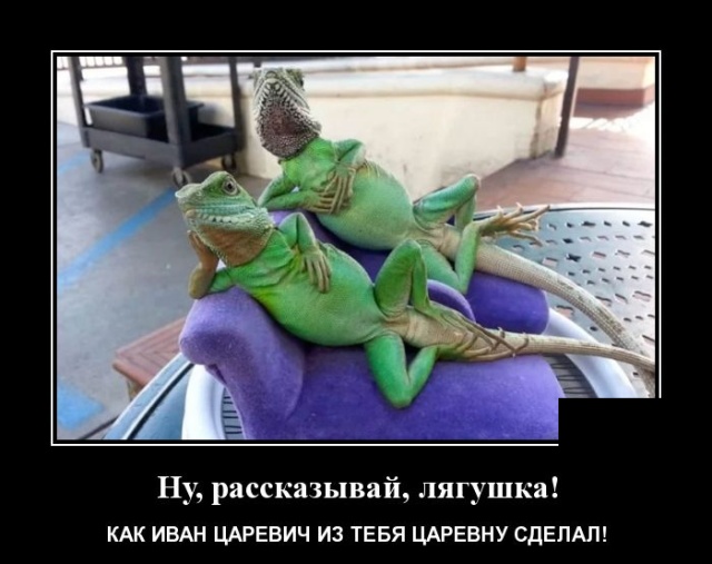 Демотиваторы