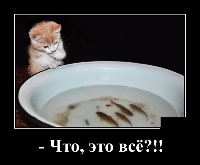 Демотиваторы
