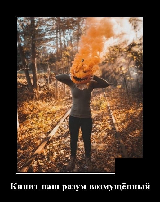 Демотиваторы