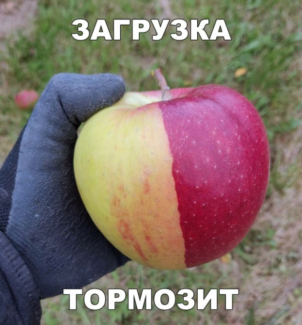 Шутки и юмор без смысловой нагрузки