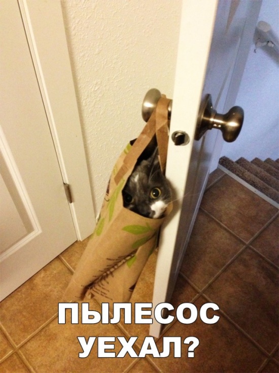 Шутки и юмор без смысловой нагрузки