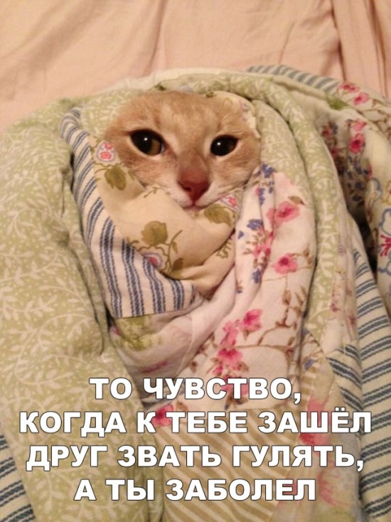 Шутки и юмор без смысловой нагрузки