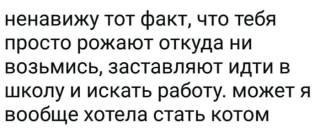 Люди делятся своими мыслями в социальных сетях