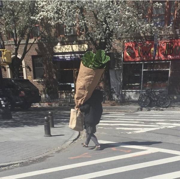 Прикольные картинки
