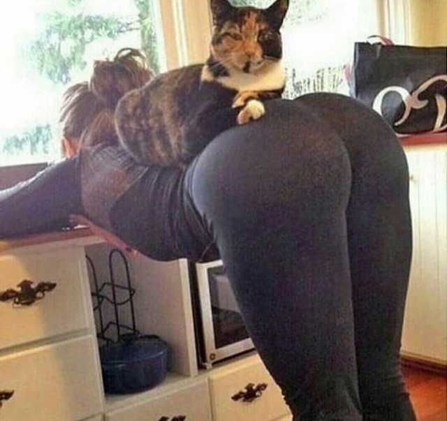 Прикольные картинки