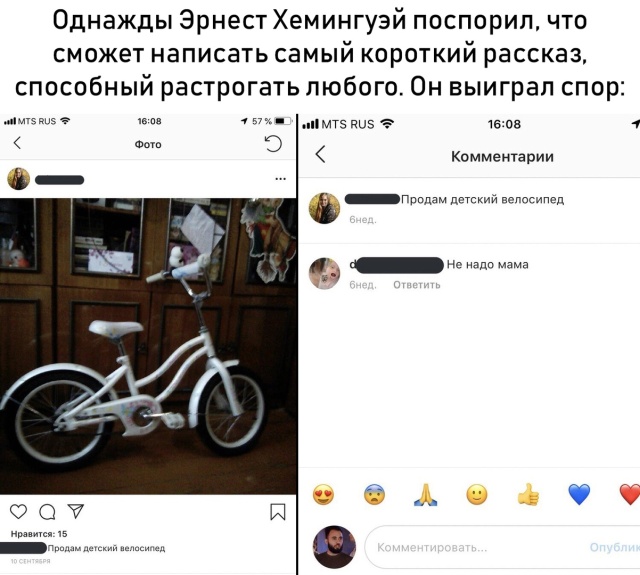 Прикольные картинки