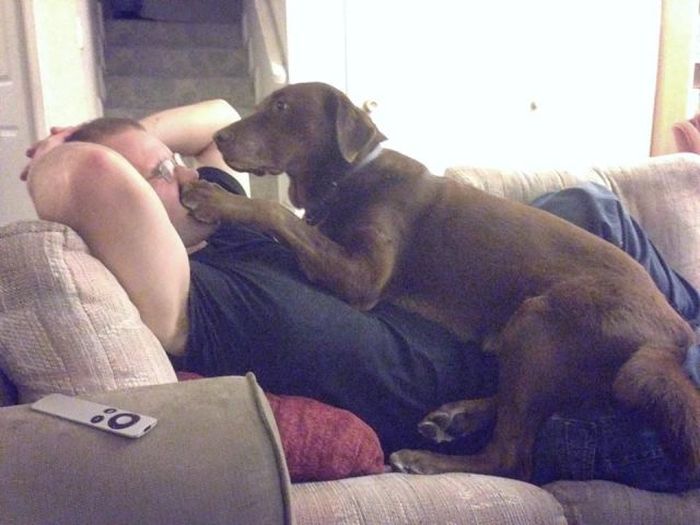 Прикольные картинки