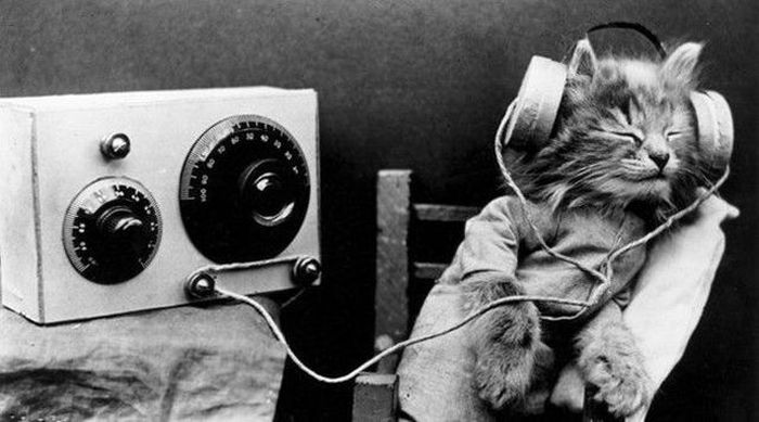 Прикольные картинки